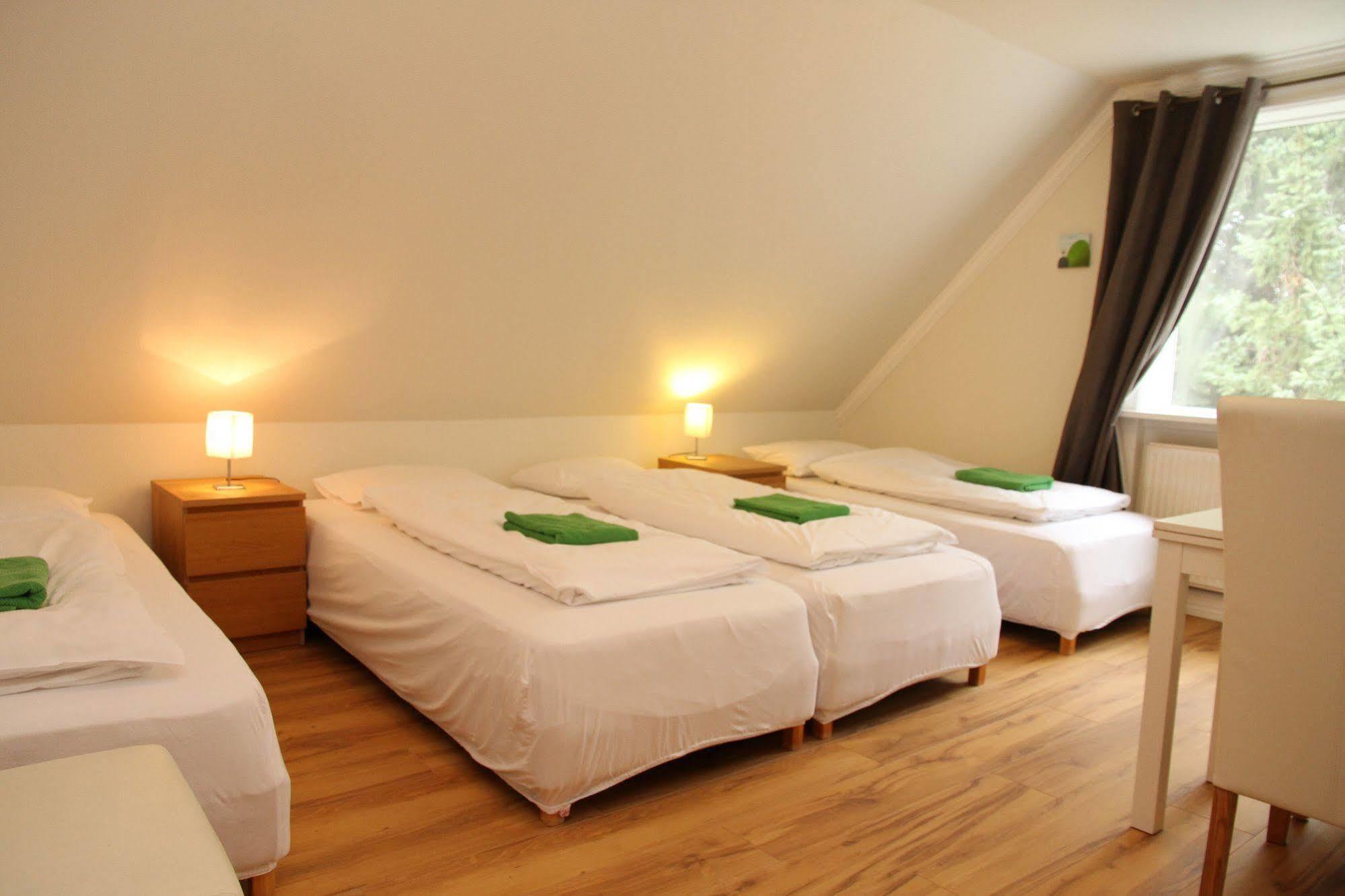 Olga Guesthouse エイイルススタジル エクステリア 写真