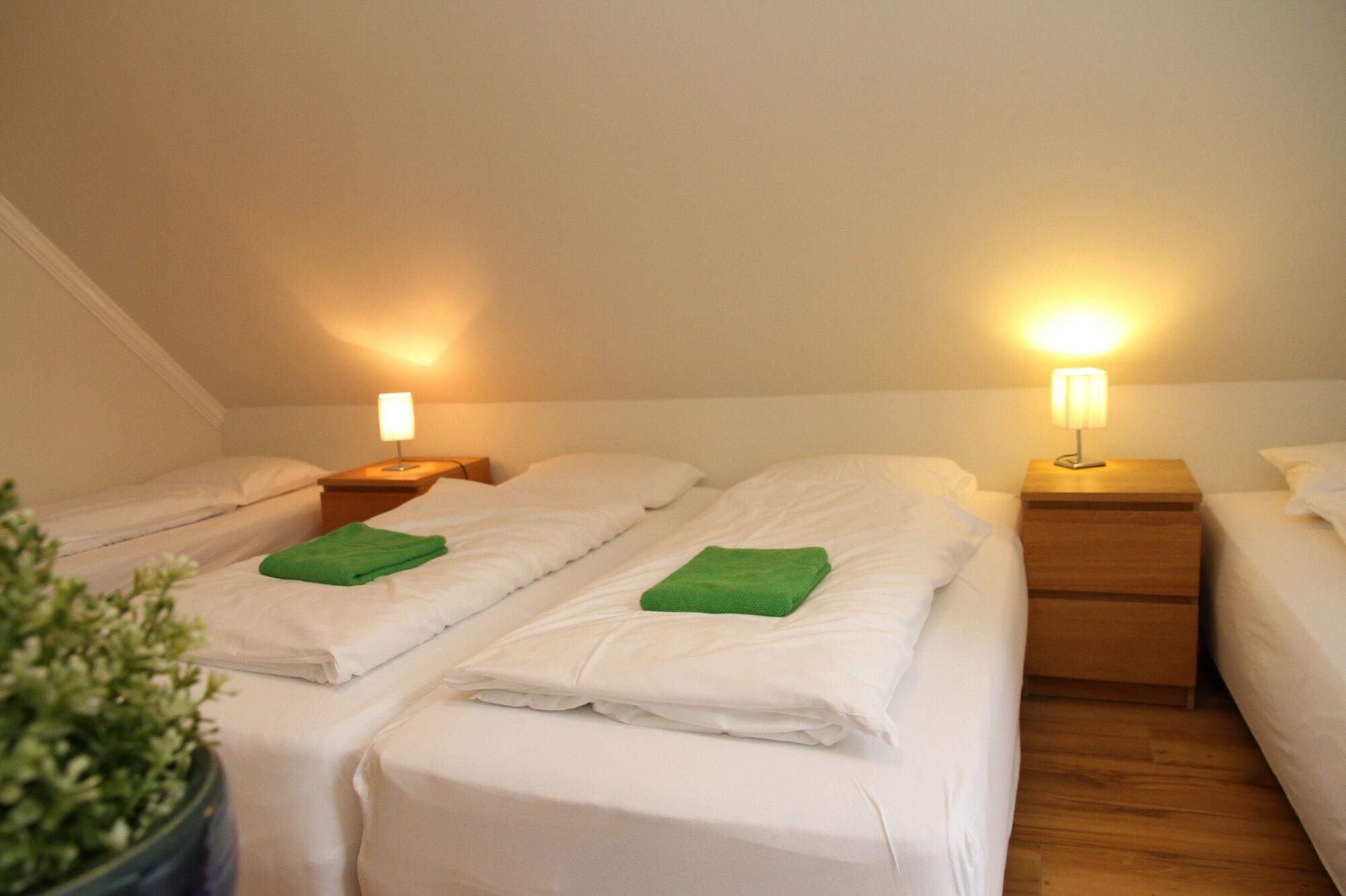 Olga Guesthouse エイイルススタジル エクステリア 写真